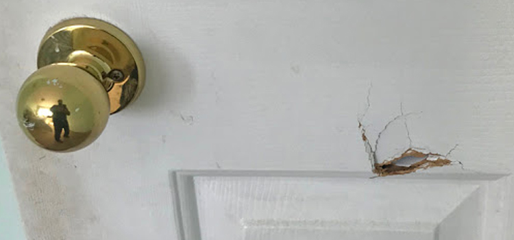 interior door hole repair East La Mirada